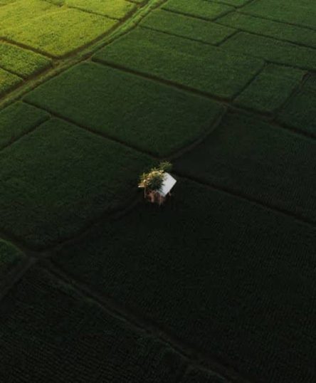 Image 6 Image 6